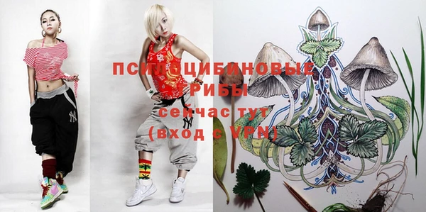 соль ск Аркадак