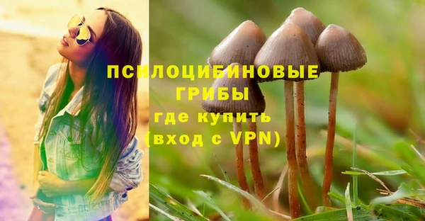 мет Армянск