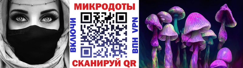 Псилоцибиновые грибы GOLDEN TEACHER  Сальск 